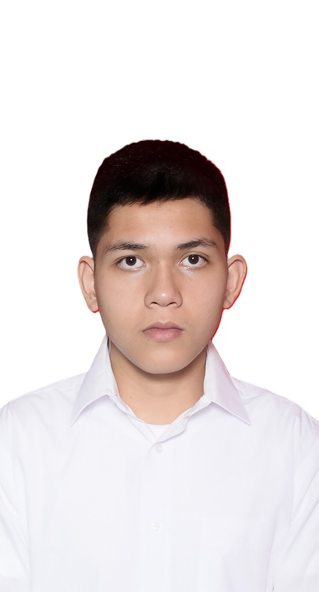 Matthew Anggi Halomoan Napitupulu